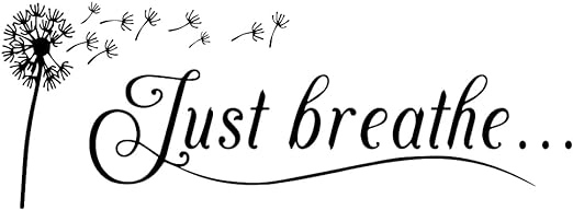 Just Breathe Vinyl Wall Decal Yoga Quotes Positive Relax Motto Art Letters Sayings Living Room Décor Lettering