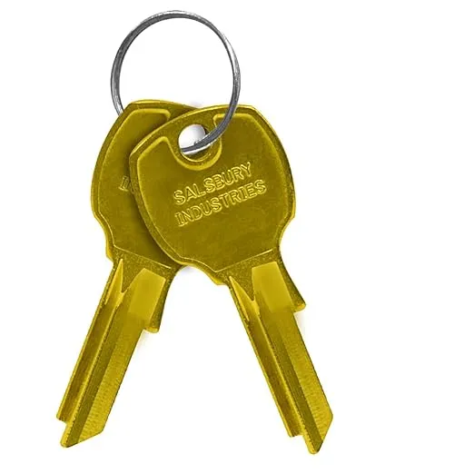 Salsbury Industries Vertical Mailboxes Key Blank, Pins 5, PK50, Brass