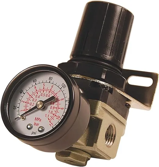 Primefit R1401G Mini Air Regulator with steel-Protected Gauge, 60-Scfm At 100-Psi, 1/4" Npt