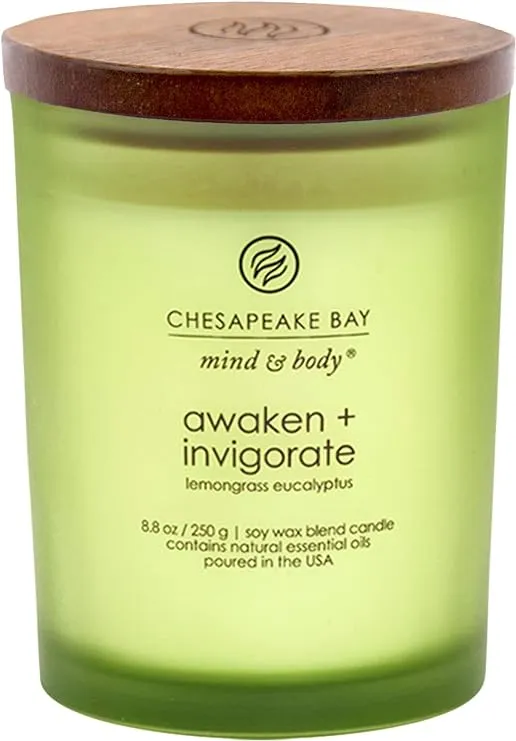 Chesapeake Bay Candle PT40886 Scented Candle, Awaken + Invigorate (Lemongrass Eucalyptus), Medium , Green, Home Décor