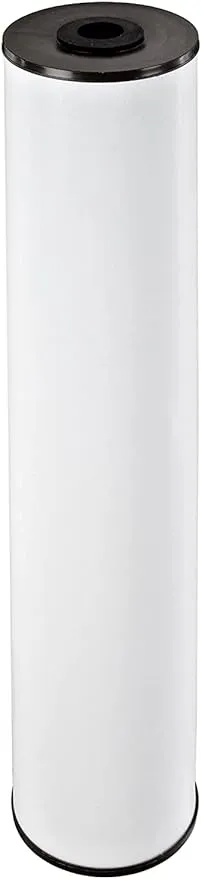Pentair Pentek RFFE20-BB Big Blue Water Filter, 20-Inch, Whole House Radial Flow Iron Reduction Replacement Cartridge, 20" x 4.5", White