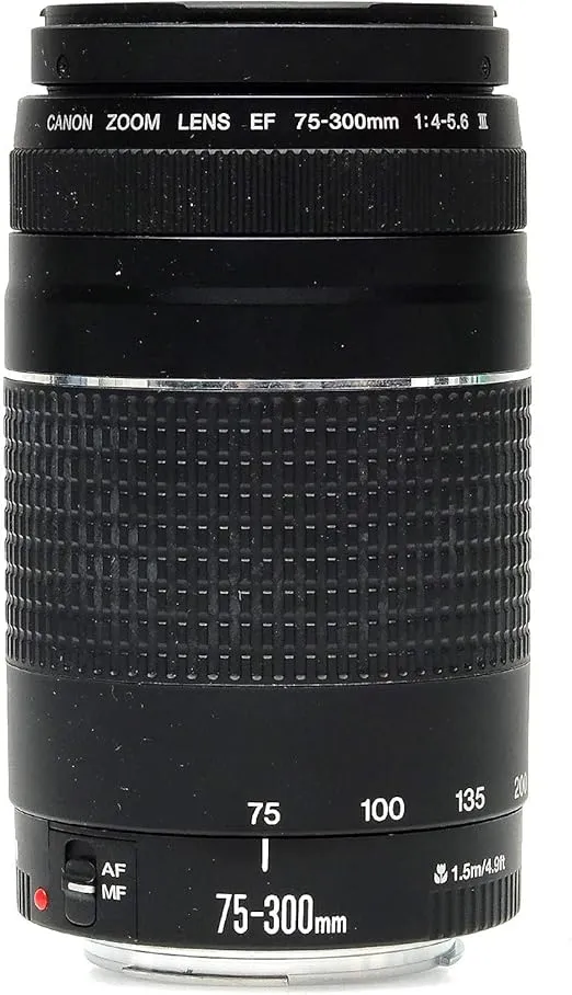 Canon EF 75-300mm f/4-5.6 III Telephoto Zoom Lens for Canon SLR Cameras (Certified Refurbished)