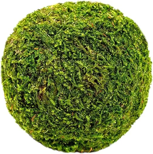 SuperMoss (21648) Moss Ball, Fresh Green, 4"