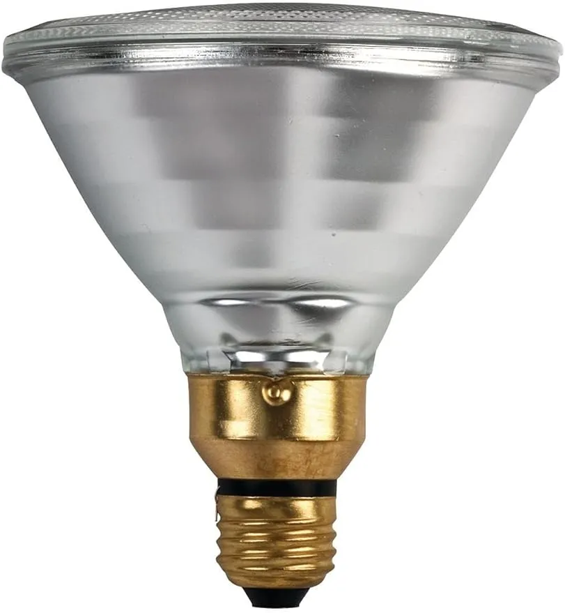 Philips 53W 120V PAR38 Halogen Flood Bulb