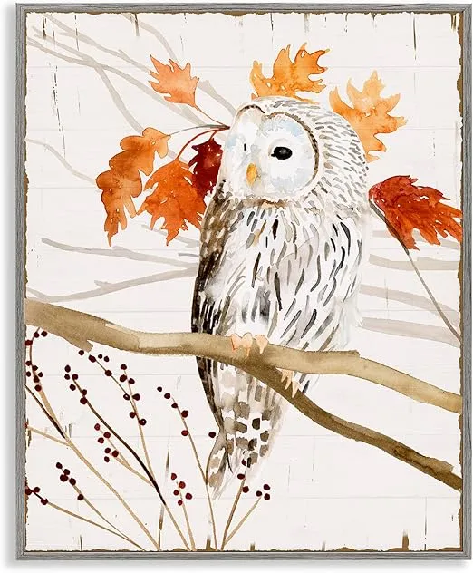 Stupell Industries Owl in Fall Forest Animal Watercolor Painting Grey Framed Wall Art, 11x14, Design by Artist Victoria Borges