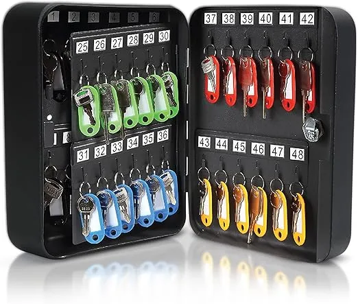 Honeywell Safes & Door Locks - 48 Hooks Small Key Box for Office - Durable Metal Key Lock Box Keeps Your Keys Safe - Scratch Resistant Key Holder Box Comes with 2 Entry Keys - 0.12-CU - Black - 6106
