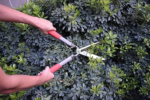 Corona HS15150 ClassicCUT Hedge Shears, 10-Inch, Red