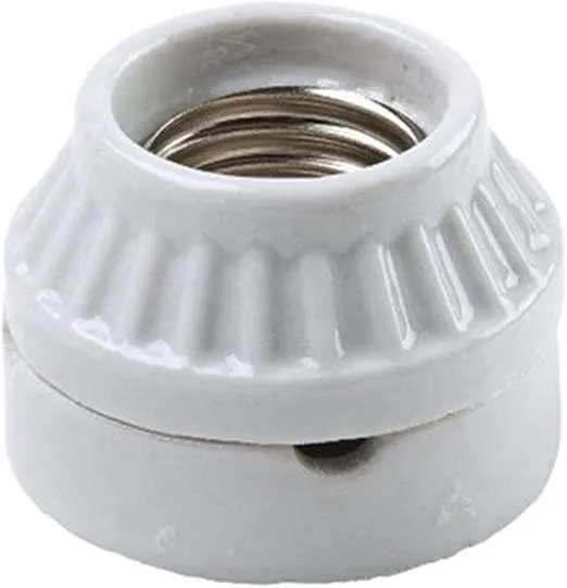 Legrand Pass & Seymour 9880CC10 660W 250V Medium Base A26 Lamp Holder, Porcelain, Surface Mount, White (1 Count)