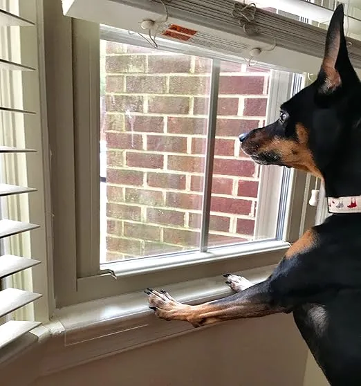 29.5 in. Long x 3.25 in. deep - Clear Cat and Dog Window Sill Protector - Durable Rigid Windowsill Cover Guards Against Pet Claws, Scratching, Drooling, Box of 1 Sill Protector with Mounting Coins