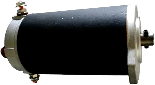 Maxwell P10068 Motor - 12V