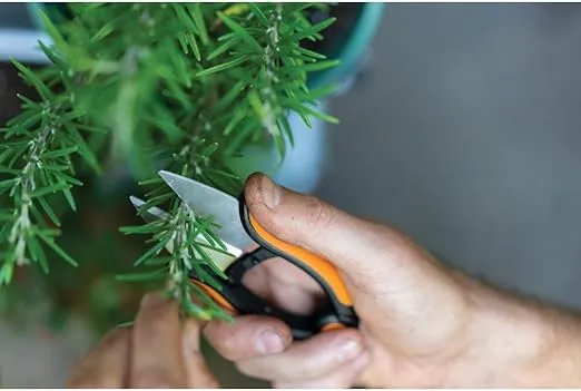 Fiskars Herb Garden Herb Scissors, 5-Inch Garden Shears, Handheld Herb Snips with Sheath and SoftGrip Handle, Dishwasher Safe