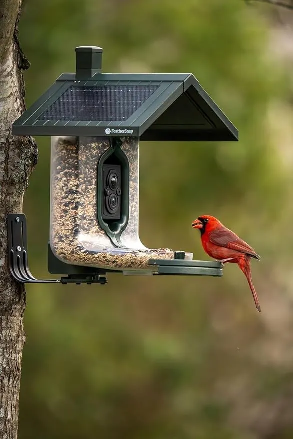 Scout Wi-Fi Solar Powered Smart Bird Feeder - Automatically Captures HD Pictures and Videos! Best Gift for Bird Watchers! Dual Seed Chamber - Feather Snap