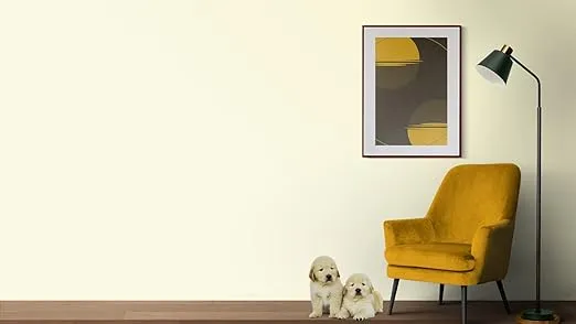 EVOLVE Paint & Primer: Environment-friendly, Low Sheen with One-coat Coverage for Interior & Exterior surfaces (Vanilla White, 1-Gallon)