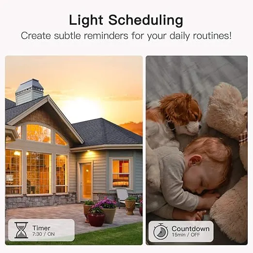 TREATLIFE Single Pole Smart Light Switch, Neutral Wire Required, 2.4GHz Wi-Fi Light Switch, Smart Switch Works with Alexa and Google Home, Schedule, Remote Control