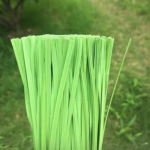 Garden Twist Tie Plant Ties Stripes 200 pcs 6 inches for Plants, Vines and Wrapping Cords or Christmas tree