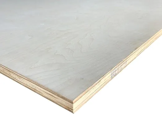 Falken Design Birch Plywood Project Panel Grade A2(C/D) 24 in. x 24 in. x 3/4 in. Thick