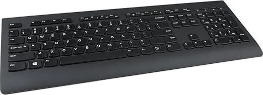 Lenovo Professional Wireless Keyboard and Mouse Combo, 2.4 GHz USB Wireless Receiver, Full Size Ambidextrous Mouse, 24 Month Battery Life, Black