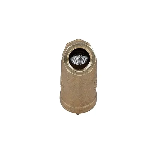 Zurn Wilkins 34-SXL 3/4" SXL Cast Bronze Wye Type Strainer