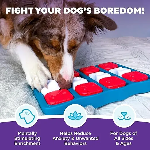 Outward Hound Nina Ottosson Dog Brick Dog Puzzle Interactive Treat Puzzle Dog Enrichment Dog Toy, Level 2 Intermediate, Blue