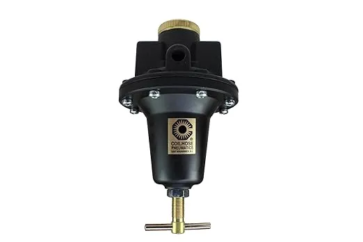 Coilhose Pneumatics 8804 Heavy Duty Series Regulator, 1/2-Inch Pipe Size