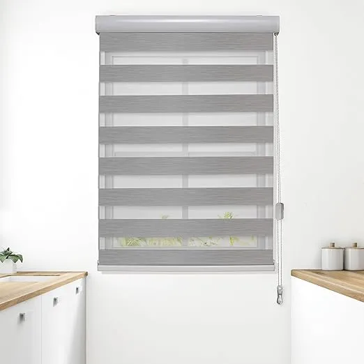 Elegant Comfort Zebra Blinds, Dual Layer Window Treatments Sheer, Privacy Light Control, Pull Strings Roller Window Shades, Day and Night Window Drapes (27Wx72L, Gray)